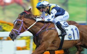 Joao Moreira piloted stayer-in-the-making Redkirk Warrior to an impressive win over 1,600m at Sha Tin on February 1 that took the horse's rating to 87. Photos: Kenneth Chan