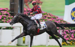 Bubble Chic wins last year's Queen Mother Memorial Cup thanks to a top ride from Karis Teetan. He lines up again this year. Photo: Kenneth Chan 