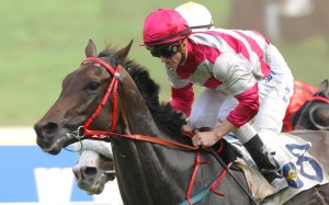 Zac Purton rode a rare winner for John Size on promising Ensuring. Photos: Kenneth Chan 