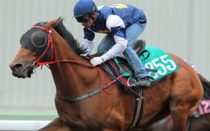 Luger ridden by Karis Teetan in a trial over 1,200 metres on the all-weather track at Sha Tin in April. The gelding can resume trackwork on September 3. Photos: Kenneth Chan