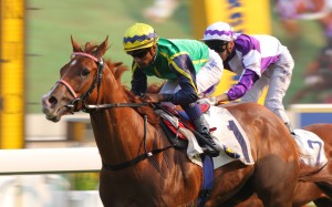 Blizzard continued his march up the ratings with a dominant win at the top of the Class Three. He now has the Classic Mile in his sights. Photo: Kenneth Chan