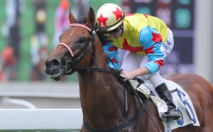 Happy Agility won on debut under Zac Purton, but Joao Moreira takes the ride in the Triple Trio final leg on Monday. Photo: Kenneth Chan