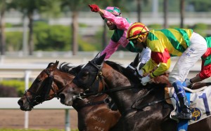 Imperial Gallantry just fails to grab Glacier Blue fresh. He can atone under Zac Purton on Sunday. Photo: Kenneth Chan