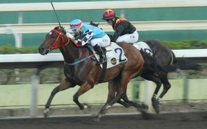 Access Years has become a dirt specialist, winning three times and placing twice on the all-weather track. He returns to the surface today after two strong turf runs. Photo: Kenneth Chan
