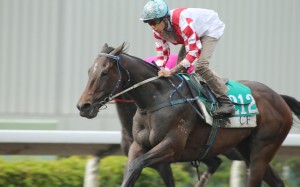 Lucky Double Eight has been in Hong Kong for two years but can finally break through. Photo: Kenneth Chan