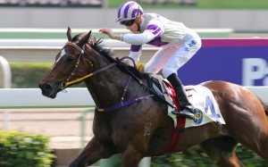 Honest Horse streeted his rivals on debut and looks a horse clearly headed for bigger and better things. Photo: Kenneth Chan