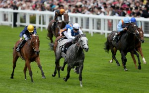 Solow would have faced Able Friend again - as well as Hong Kong Mile winner Maurice - in a race for the ages in Dubai in March. However, that has been shelved with Able Friend sidelined through injury. Photo: Reuters
