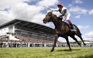 Golden Horn, pictured at Epsom winning the Derby, was involved in two of the world's highest rating races in 2015 - he won the Prix de l'Arc de Triomphe and was surprisingly beaten in the Juddmonte International by Arabian Queen. Photo: AFP