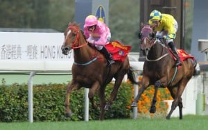 Sun Jewellery (Ryan Moore) just holds off the late charge of Werther (Hugh Bowman) to win the Classic Mile last start. He can defy a trend of victorious outsiders to win today. Photos: Kenneth Chan