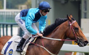 Not Listenin'tome, with Zac Purton aboard, won the Class One sprint at Sha Tin on Sunday. He now heads to Dubai. Photos: Kenneth Chan