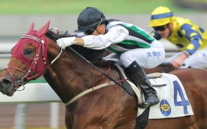 Race 8, People's Knight, ridden by Joao Moreira, won the Griffin Trophy(1400m) at Sha Tin on 27Dec15.