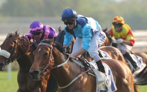 Race 8, Not Listenin'tome, ridden by Zac Purton, won the Bauhinia Sprint Trophy(HK Group 3, 1000m) at Sha Tin on 01Jan16.