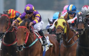 Race 8, Eastern Express, ridden by Karis Teetan, won the class 3 over 2000m at Sha Tin on 31Jan16.