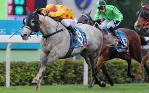 Race 9, Giant Treasure, ridden by Christophe Soumillon, won the Stewards' Cup(Group 1, 1600m) at Sha Tin on 31Jan16.