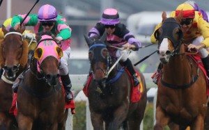 Race 7, Aerovelocity, ridden by Zac Purton, won the Centenary Sprint Cup(HK Group 1, 1200m) at Sha Tin on 31Jan16.