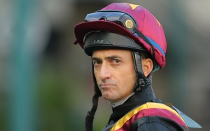 Race 9, Master Kochanwong, ridden by Douglas Whyte, won the class 1 over 1200m(all weather track) at Sha Tin. 17JAN16