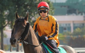 IMPERIAL CONCORDE ridden by Matthew Chadwick trial in batch 3 over 1200Metres (All Weather Track) at Sha Tin on 05Feb16.