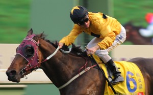 Dashing Fellow holds his rivals at bay to give Hong Kong its sixth straight win in the Hong Kong Macau Trophy, also the fourth interport feature for trainer John Moore. Photo: Kenneth Chan