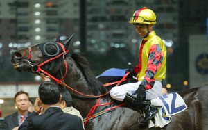 Mr Right was an impressive winner last start and looks set to add another to his record. Photo: Kenneth Chan