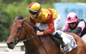 So Caffe hasn’t won since July 2014, when he won what now looks a fairly average griffin race. Photo: Kenneth Chan