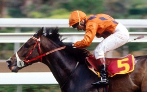River Verdon was Hong Kong’s best galloper of the early 1990s, and became a trailblazer by becoming the first Hong Kong-trained horse to race outside the jurisdiction. Photo: SCMP Pictures