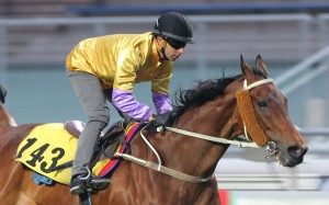 Peniaphobia looks ready to go one better in the Golden Shaheen after a strong turf trial on Tuesday morning. Photo: Kenneth Chan