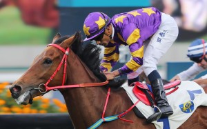 Eastern Express began the season as a maiden, but has worked his way through the grades to emerge as a legitimate Hong Kong Derby contender. Photo: Kenneth Chan