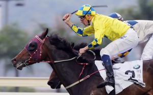 Werther wins the Hong Kong Derby on Sunday, but will he be the next Hong Kong Cup winner? Photo: Kenneth Chan
