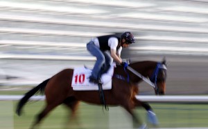Gun Pit is given a hit-out in Dubai as he prepares for the US$10 million World Cup. Photo: EPA
