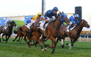 Australian warhorse Buffering, ridden by Damian Browne, wins the Al Quoz Sprint at Meydan Racecourse on Saturday, with Peniaphobia, ridden by Joao Moreira (in yellow silks), placing third. Photos: Kenneth Chan