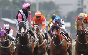 <p>The Classic Mile winner added the Chairman’s Trophy on Sunday, with both the trainer and jockey Neil Callan admitting he needs conditions to suit to show his best</p>
