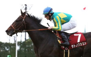 Satono Crown wins the Kyoto Kinen under Mirco Demuro at his last start in February. Zac Purton will ride in the QE II Cup. Photo: Japan Racing Association