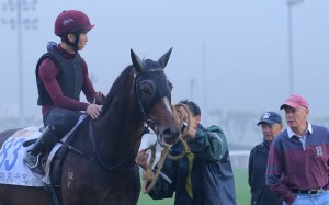 Rider Thomas Yeung gets instructions from trainer John Moore before taking Hong Kong Derby winner Werther for his final gallop ahead of Sunday’s Audemars Piguet QE II Cup. Photo: Kenneth Chan