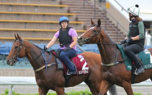 Buffering (far side) and Rising Romance return to the quarantine stables after schooling in the parade ring on Wednesday. Photo: Kenneth Chan