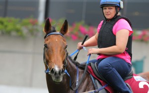 Buffering was impressive during his final gallop on Tuesday. Photos: Kenneth Chan