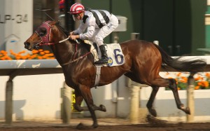 Happy Meteor was impressive at his first run on the dirt. Photo: Kenneth Chan