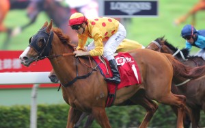 Christophe Soumillon will return to the saddle aboard Gold-Fun with the pair looking for Royal Ascot success. Photos: Kenneth Chan