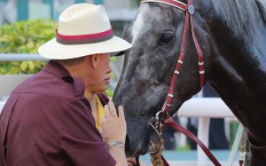 John Moore gives Basic Trilogy a pat after the flashy grey made it a double for the trainer. Photo: Kenneth Chan