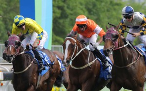 Werther, Blazing Speed and Victory Magic hit the line locked together in the Champions & Chater Cup. Werther eventually finished on the losing end of the three-way photo behind Blazing Speed. Photo: Kenneth Chan