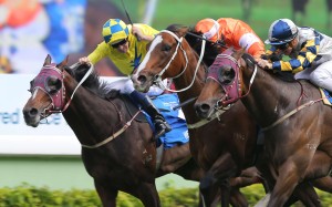 The 2014 winner nosed out four-year-olds Victory Magic and Werther in a banner day for his trainer