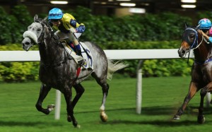 Race 4, Kitaya, ridden by Jack Wong, won the class 4 over 1650m at Happy Valley on 01Jun16.