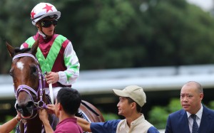 Fabulous One looks headed for some of the big sprint races next season. Photo: Kenneth Chan