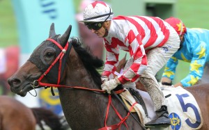 John Size-trained Dr Listening was impressive under Zac Purton, despite the narrow margin of a half-length. He was one of two winners for Size. Photo: Kenneth Chan