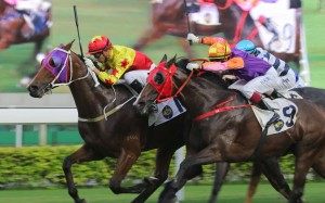 California Joy will be out to make it two wins on the trot after saluting earlier this month. Photos: Kenneth Chan