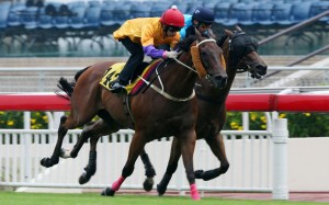 Peniaphobia ridden by Matthew Chadwick. Photos: Kenneth Chan
