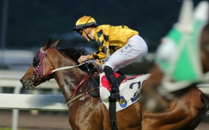 Chad Schofield screams in delight as Mr Bogart inflicts Pakistan Star’s first defeat. Photos: Kenneth Chan
