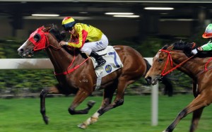 Super Sprinter looks ready to win another race. Photos: Kenneth Chan.