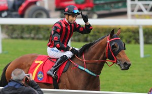 Thewizardofoz makes his return to racing at Sha Tin on Sunday. Photos: Kenneth Chan