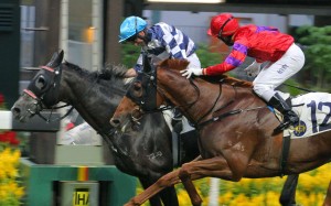 Neil Callan drives Packing Dragon to victory at Happy Valley on Sunday. Photos: Kenneth Chan