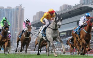 Christophe Soumillon guides Giant Treasure to victory in the Group One Stewards' Cup in January. Photos: Kenneth Chan
